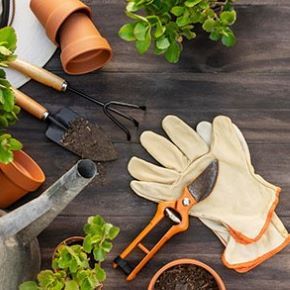 Ribble-valley-handyman-garden-prunning-trimming
